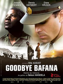 再见巴法纳 Goodbye Bafana (2007)海报