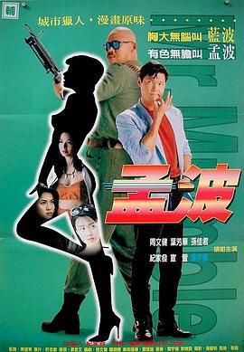 孟波 (1996)海报