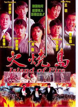 火烧岛 火燒島 (1991) wan_zheng_ban海报