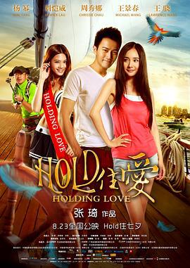 HOLD住爱 (2012)海报
