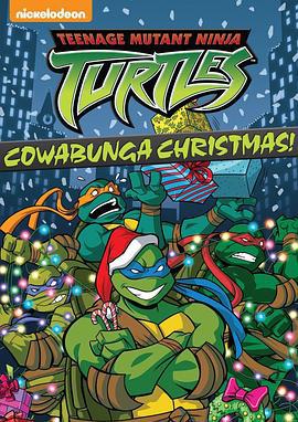 忍者神龟 第四季 Teenage Mutant Ninja Turtles Season 4 (2005)海报