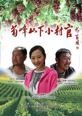 葡峰山下小村官 (2012)海报