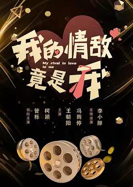 我的情敌竟是我 (2028)海报