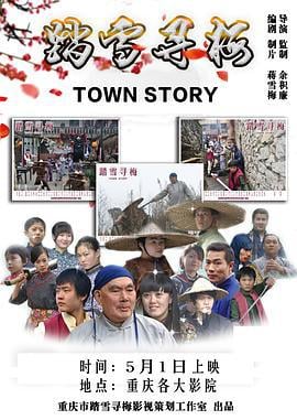 踏雪寻梅 (2015)海报