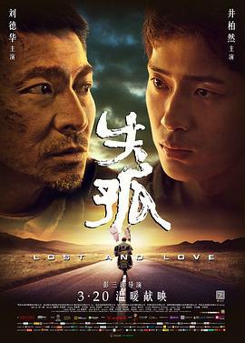 失孤 (2015)海报
