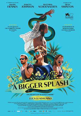 假日惊情 A Bigger Splash (2015)海报