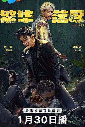 繁华落尽 (2026)海报