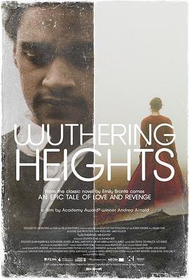 呼啸山庄 Wuthering Heights (2011)海报