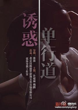 诱惑单行道 (2014)海报