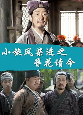 小旋风柴进之簪花请命 (2017)海报