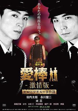 强暴直男事件簿 愛棒 －激情版－ ～ヒロとマモルの事件簿～ (2015)海报