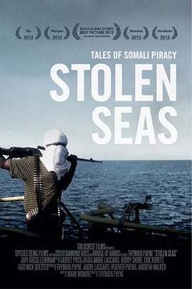 海盗风云 Stolen Seas (2011)海报