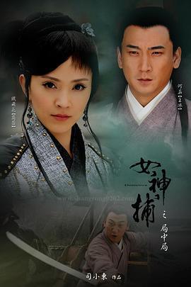 女神捕之局中局 (2007)海报