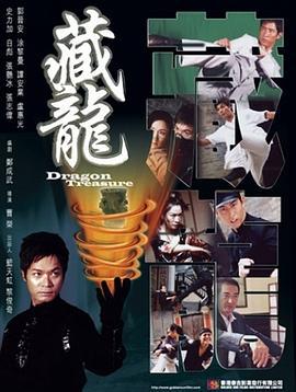 藏龙 (2007)海报