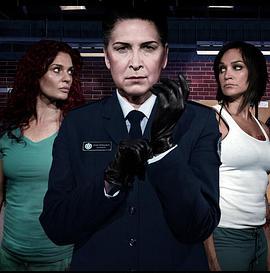 温特沃斯 第二季 Wentworth Season 2 (2014)海报