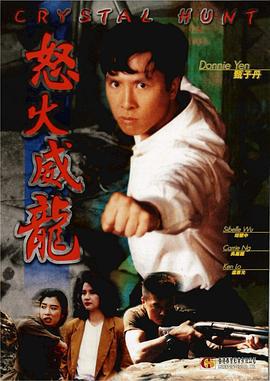 怒火威龙 怒火威龍 (1992)海报