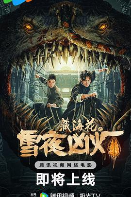 藏海花之雪夜凶灯 (2024)海报