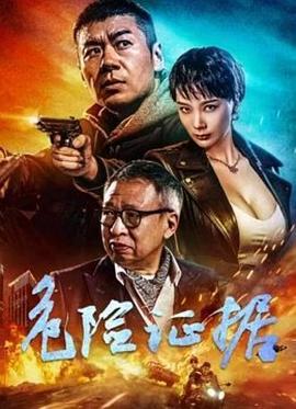 危险证据 (2024)海报