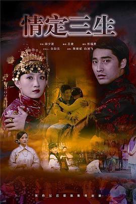 情定三生 (2009)海报