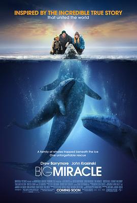 鲸奇 Big Miracle (2012)海报