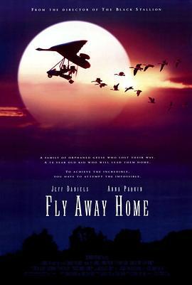 伴你高飞 Fly Away Home (1996)海报