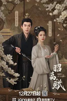昭离赋 (2025)海报