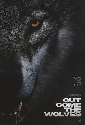 狼群出动 Out Come the Wolves (2024)海报