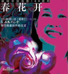 春花开 (2004)海报