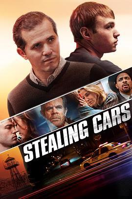 偷车 Stealing Cars (2015)海报