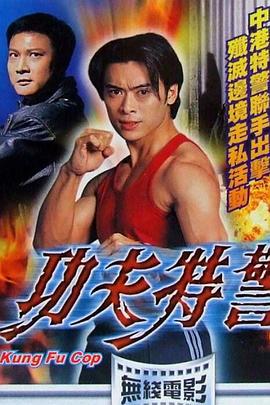 功夫特警 (1995)海报
