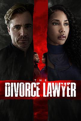 离婚律师 The Divorce Lawyer (2025)海报