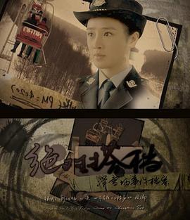 绝对搭档 (2012)海报