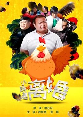 小锅盖离婚 (2017)海报