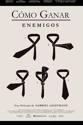 制胜人生 Cómo ganar enemigos (2014)海报