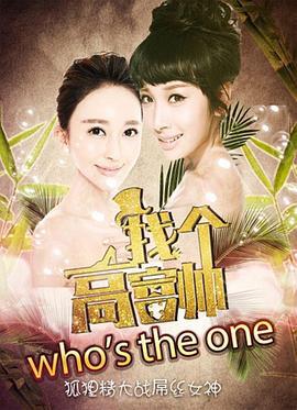 找个高富帅？ (2014)海报
