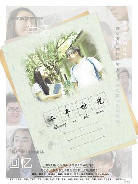 二手时光 (2013)海报