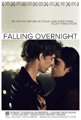 一夜钟情 Falling Overnight (2011)海报
