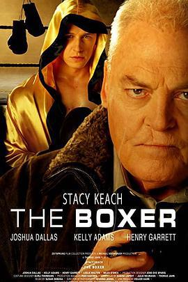 拳手 the boxer (2009)海报