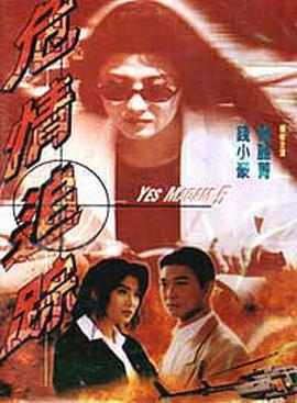 危情追踪 (1996)海报