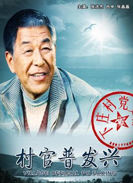 村官普发兴 (2010)海报