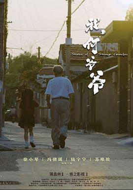 我，何爷爷 (2024)海报