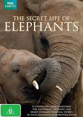 大象的秘密生活 The Secret Life of Elephants (2009)海报