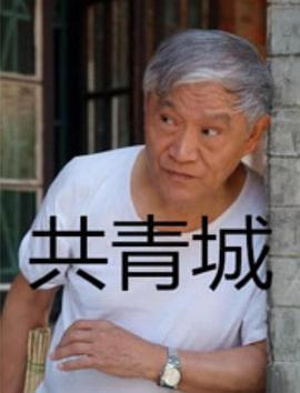 共青城 (2014)海报