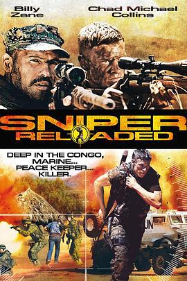 狙击精英：重装上阵 Sniper: Reloaded (2011)海报