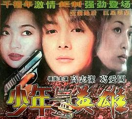 少年与英雄 (1993)海报