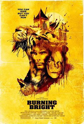 燃烧的夜晚 Burning Bright (2010)海报