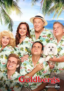 戈德堡一家 第七季 The Goldbergs Season 7 (2019)海报