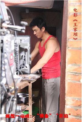 王家坝 (2012)海报