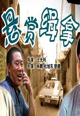 悬赏缉拿 (2011)海报