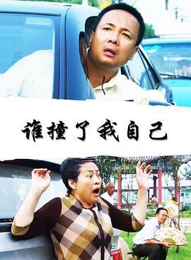谁撞了我自己 (2008)海报
